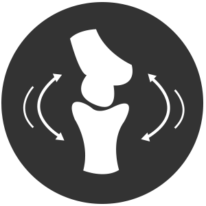 3_BoneSupport